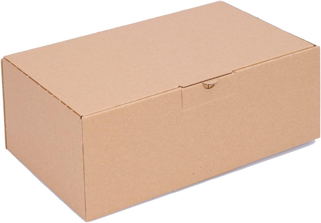 1.1 Boîtes 25 x 15 x 10 cm brun - Lot de 100 - Image 1